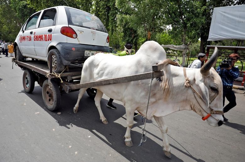 A car is carried on an ox-driven cart as part of a protest, organized by India's main opposition Congress party, against the hike in fuel prices, in Ahmedabad, India. REUTERS/Amit Dave
